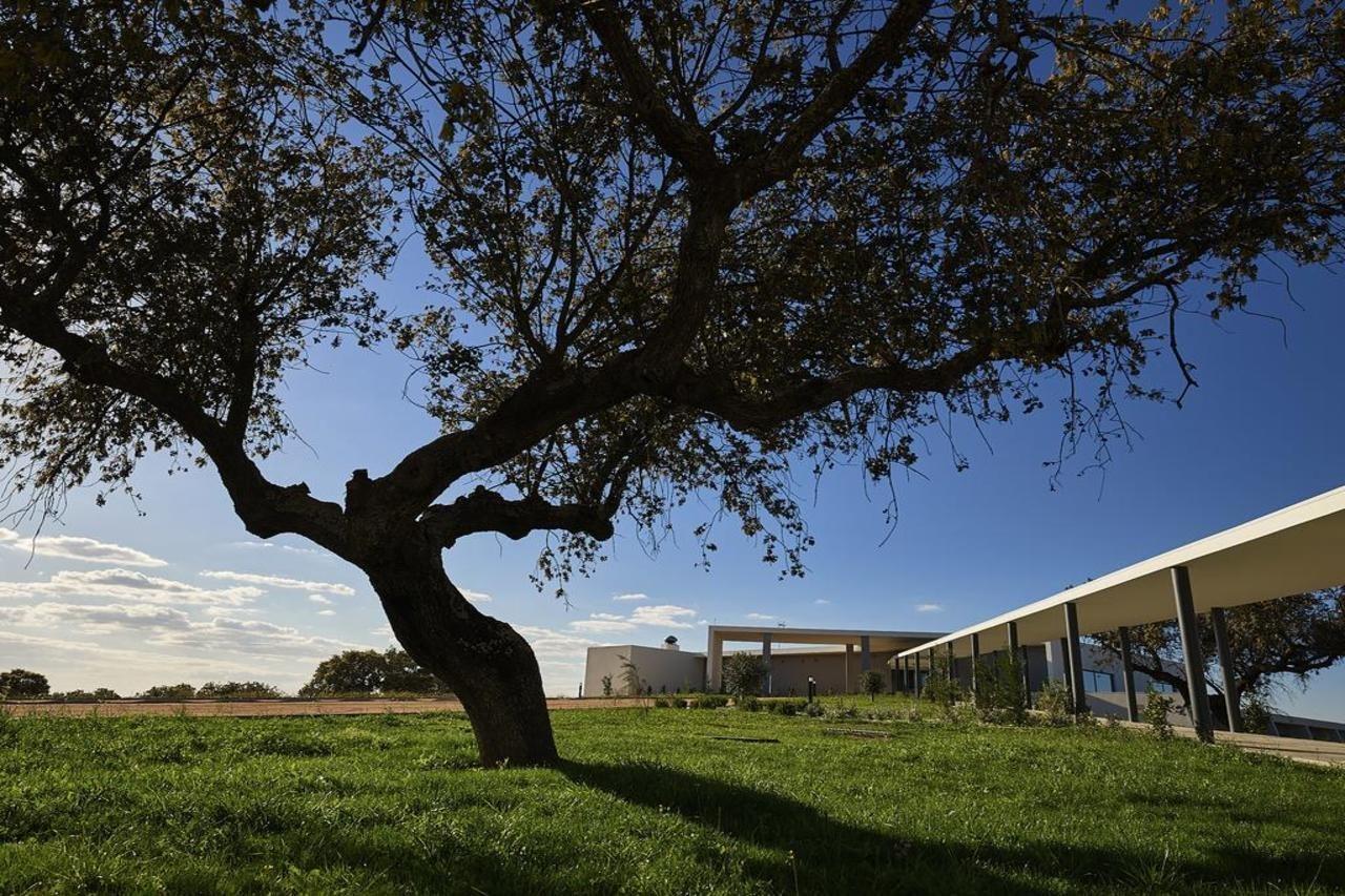 Herdade Dos Delgados Mourão Εξωτερικό φωτογραφία