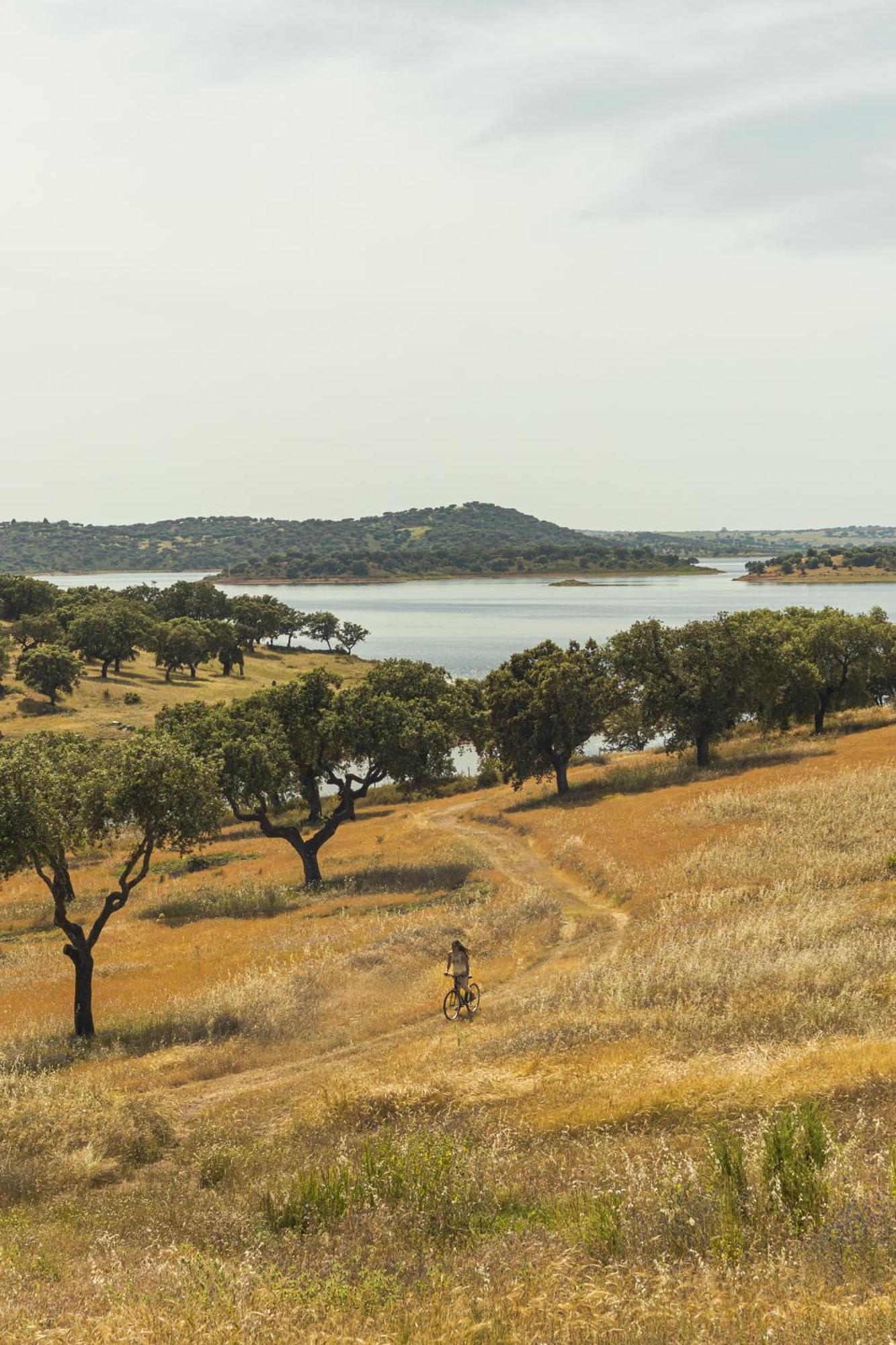 Herdade Dos Delgados Mourão Εξωτερικό φωτογραφία